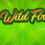 40 Wild Fire 6 Slots